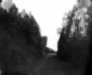 Eco musicaux le 12 septembre 2009 à CUDOS (33)