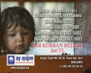 ay ışığım derneği