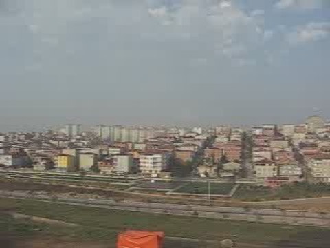 Mavi Güvercin Taklacı (15-20 metre. Eke kuş)