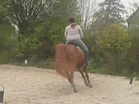 Alice & Manssoura saut de puce