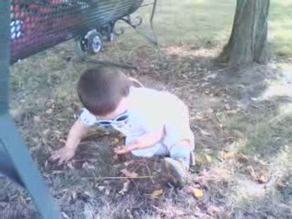 30.09 elrick lunette parc