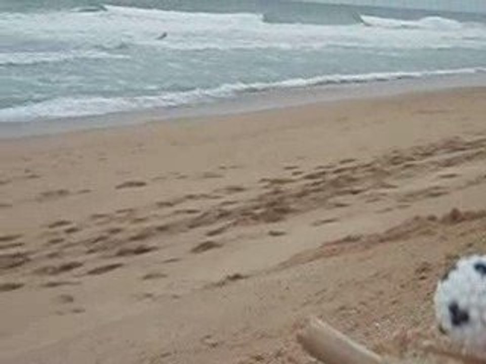 Thabo et le Kite Surf