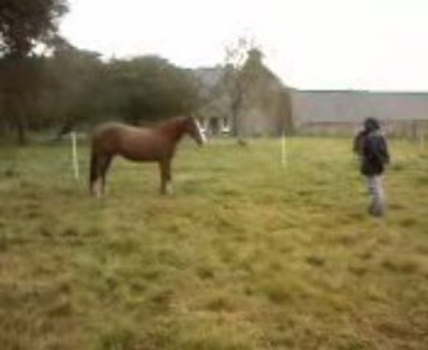 exercice d'étho le 23 /10