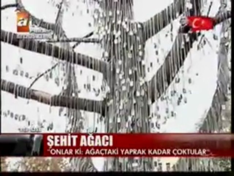 Kızılcahamamda Şehit Ağacı