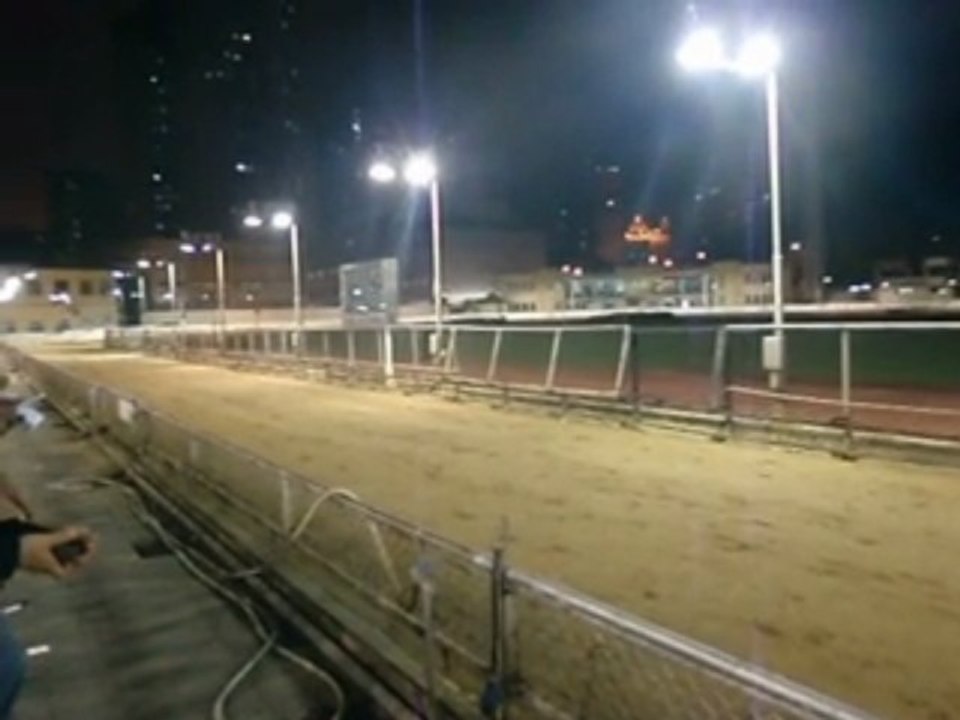 Course de chiens a Macau