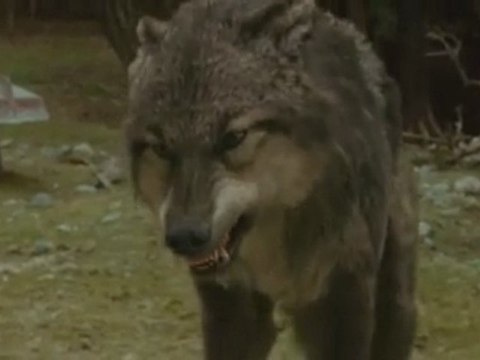 The Twilight Saga- New Moon- Exclusive Clip from iTunes HD