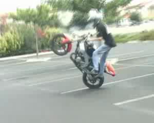 stunt été dernié circle rs