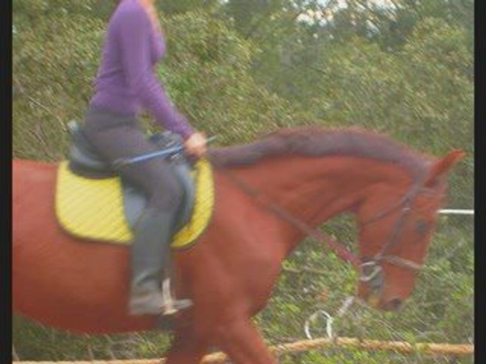 vidéo 251009_0001