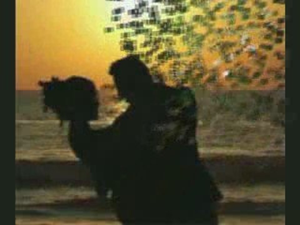 Sertap erener-oysa