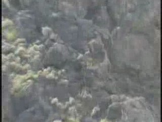 ASKERİMİZE PUSU ATMIŞ PKK LI SOYSUZLARIN İMHASI