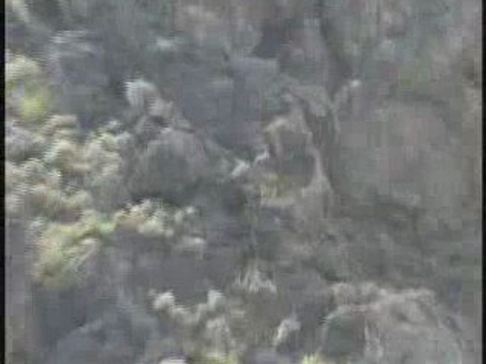 ASKERİMİZE PUSU ATMIŞ PKK LI SOYSUZLARIN İMHASI