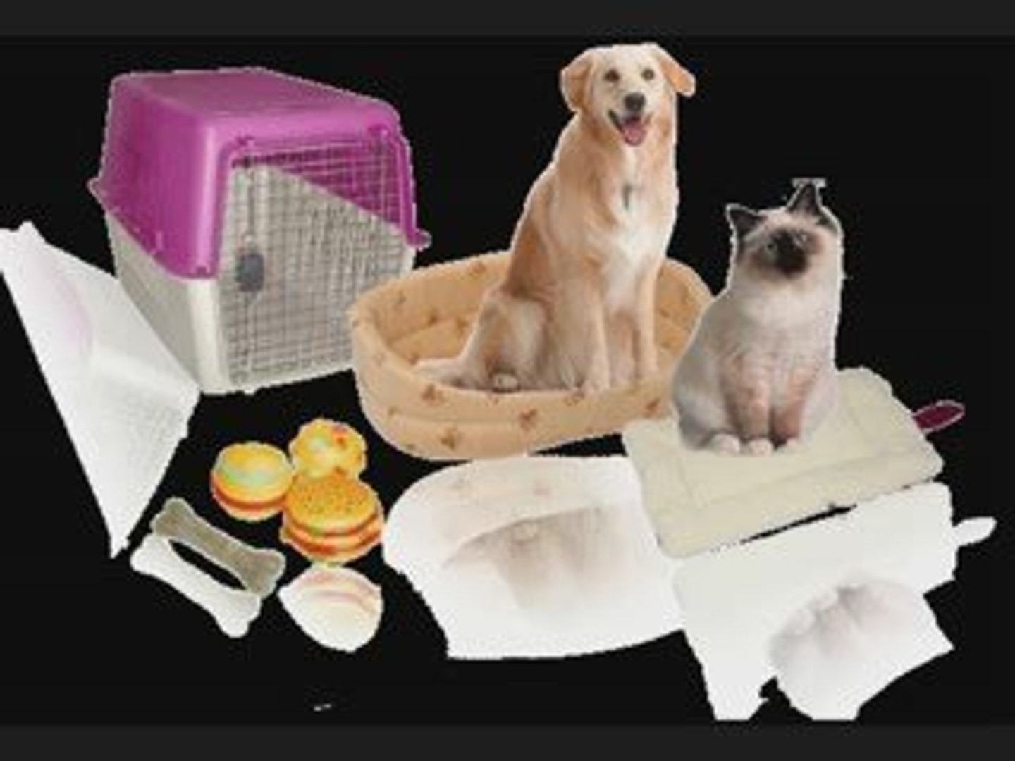 ⁣Pet Supplies and Pet Information