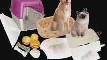 Pet Supplies and Pet Information
