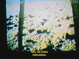 Alieni  Intervista al Dr. Michael Wolf - Sub Ita - 1/2