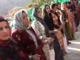 Şemdinli düğünleri 25 Ekim 2009 Yüksekova Haber