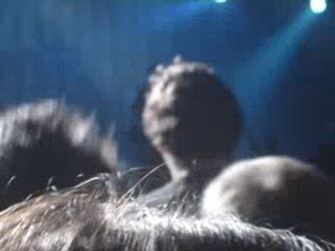 Pony Pony Run Run - Hey You & First Date Mullet