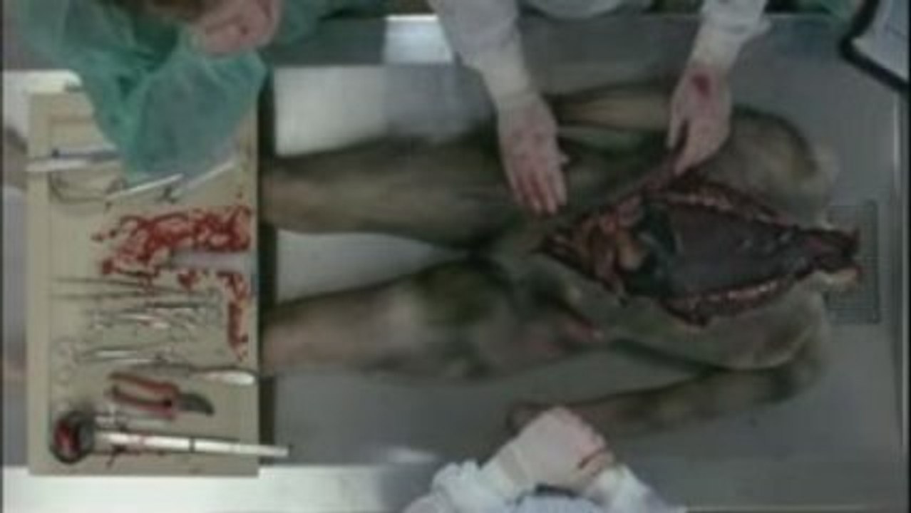 SHOWREEL2009