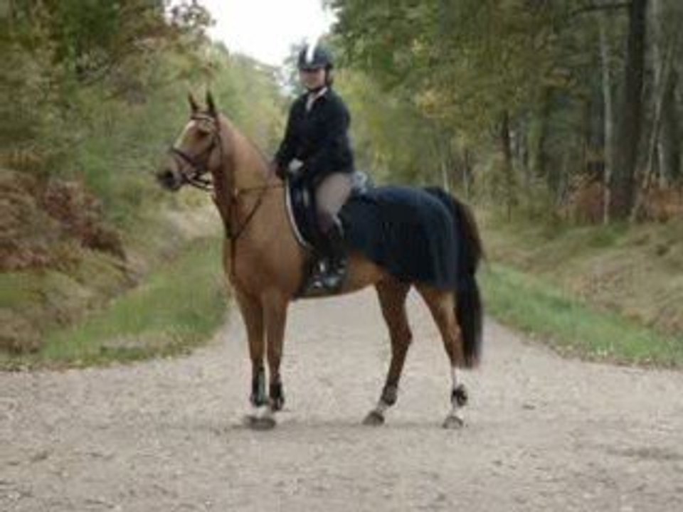 M et moi