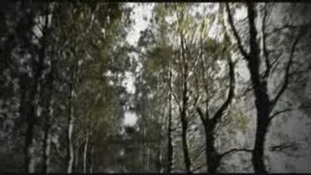 Andreas Gross - 1847