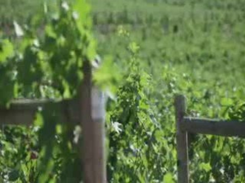 James Cluer in the Okanagan - Top Ten Vineyards & Wineries