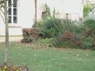 Mariage d'Anthony & Cécile