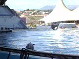 Mes vacances (à marineland)