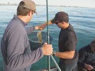 Une journée résumée en 26 secondes