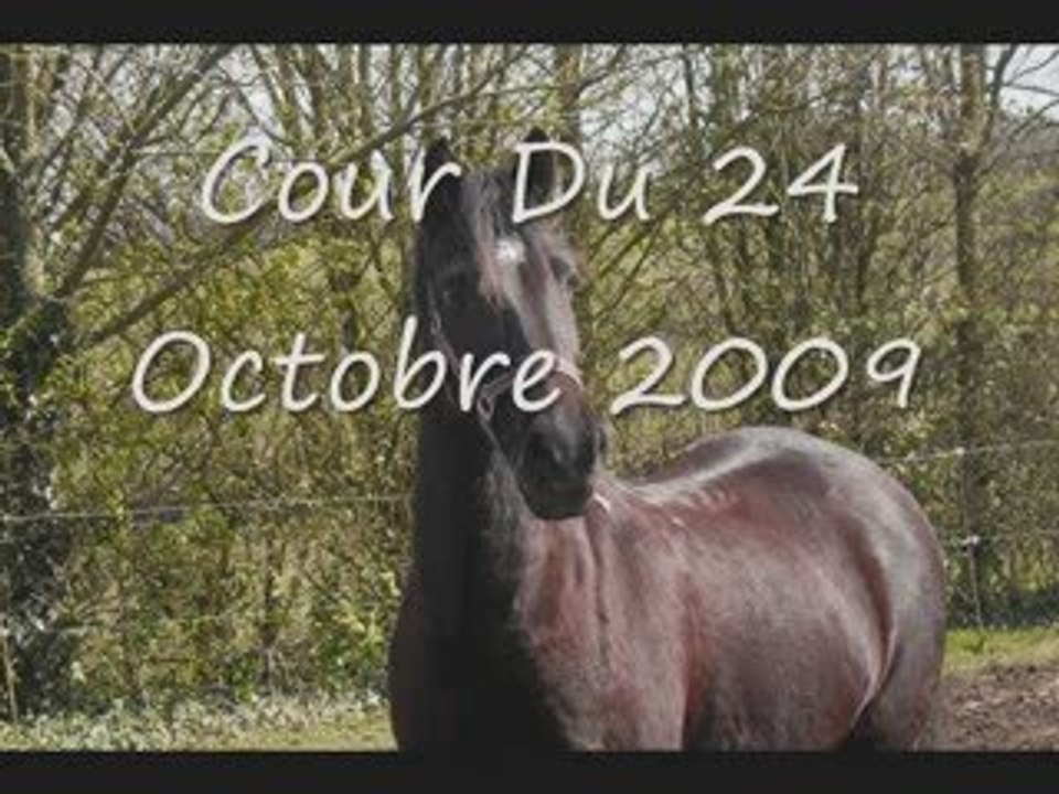 Moi Et Frimeur 7ème Cour