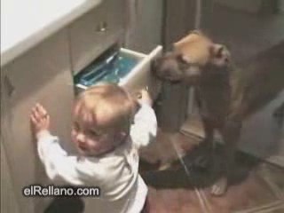bébé joue avec son chien