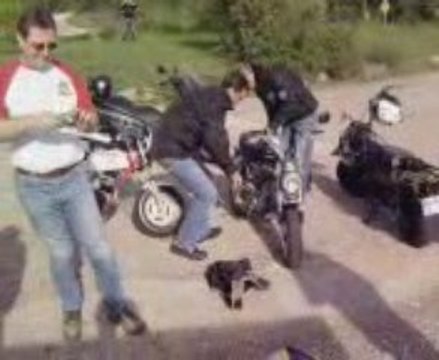 video du 25/11/2009 south dax riders