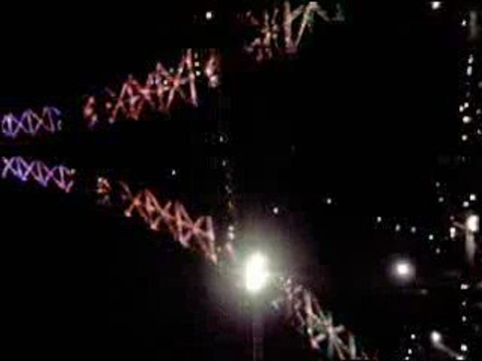 Photo 010