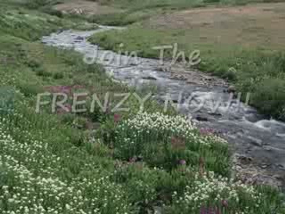 Why Purchase Any More MLM or Sales leads?