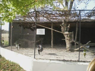 Country &  Ferme Exotique