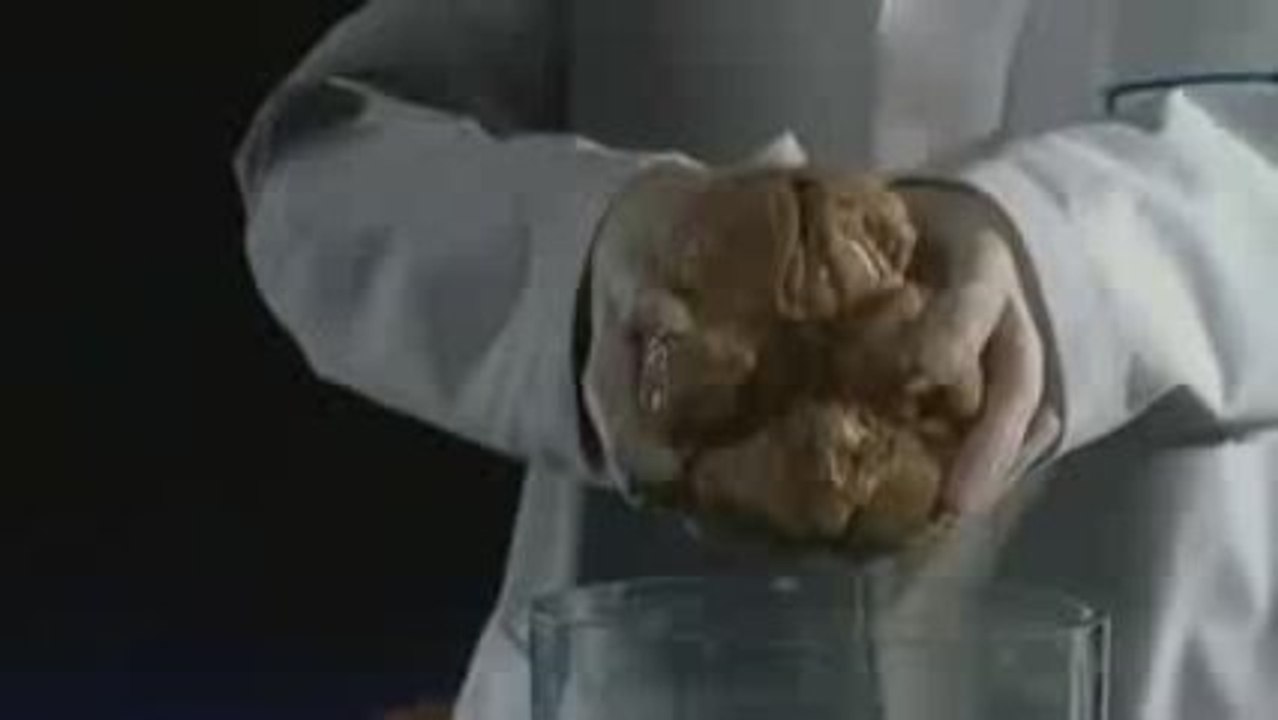 Historias del cerebro (2)