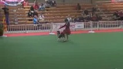 Concep et Bacchus  gpf 09