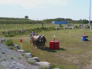concour d'attelage cap decouverte mai 2009-0001