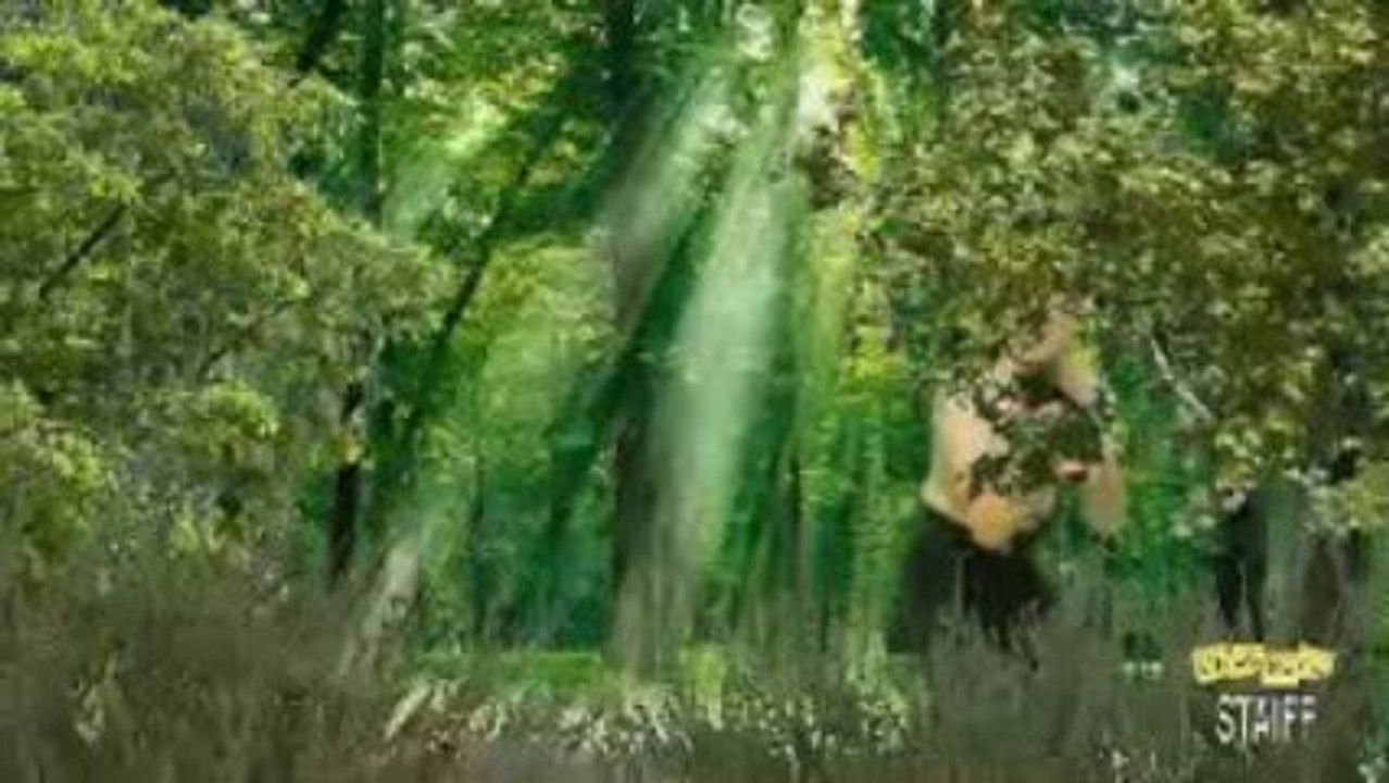 L' humeur de Staiff #4