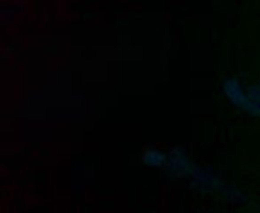 belle flamme en hornet