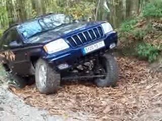 jeep cherokee dans les bois montée en croisement