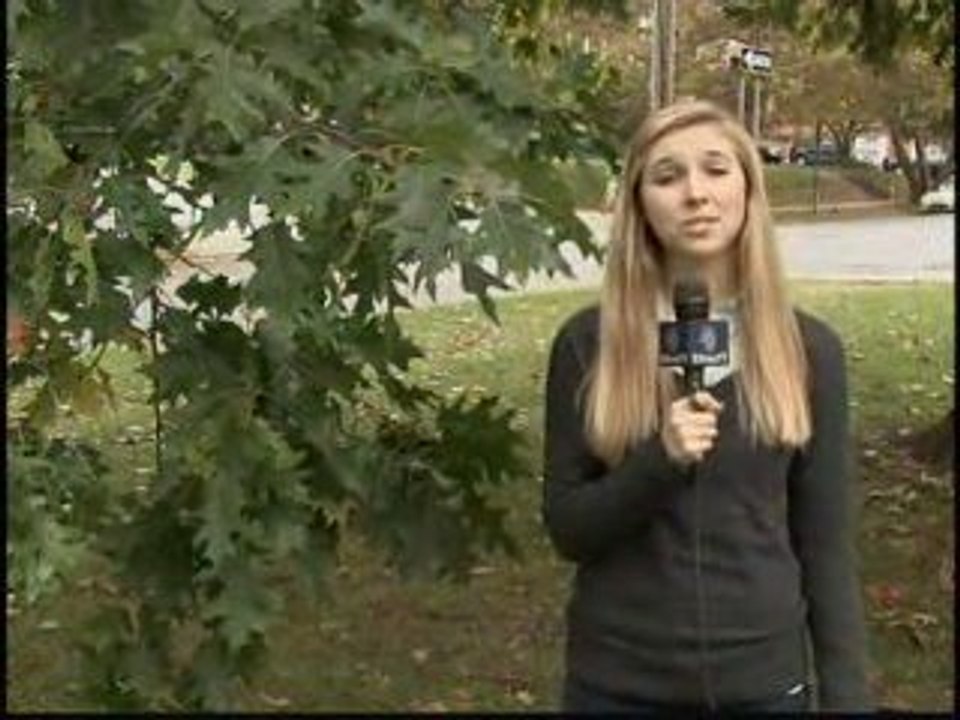 SU Sustainability leads Lights Out campaign | CitrusTV News