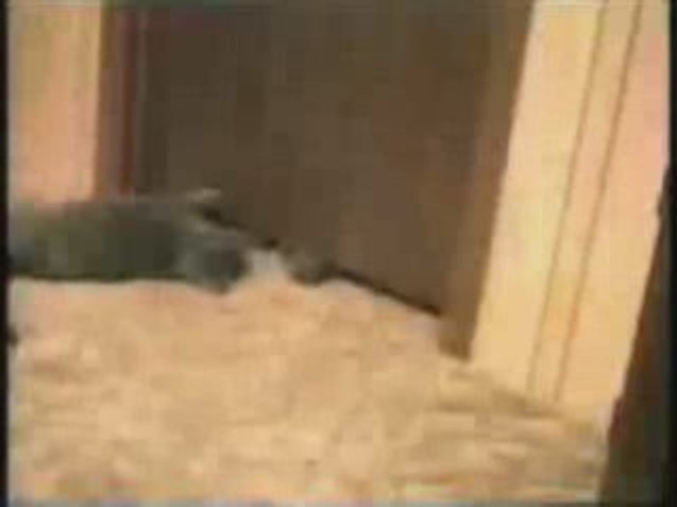 fausse pub france telecom