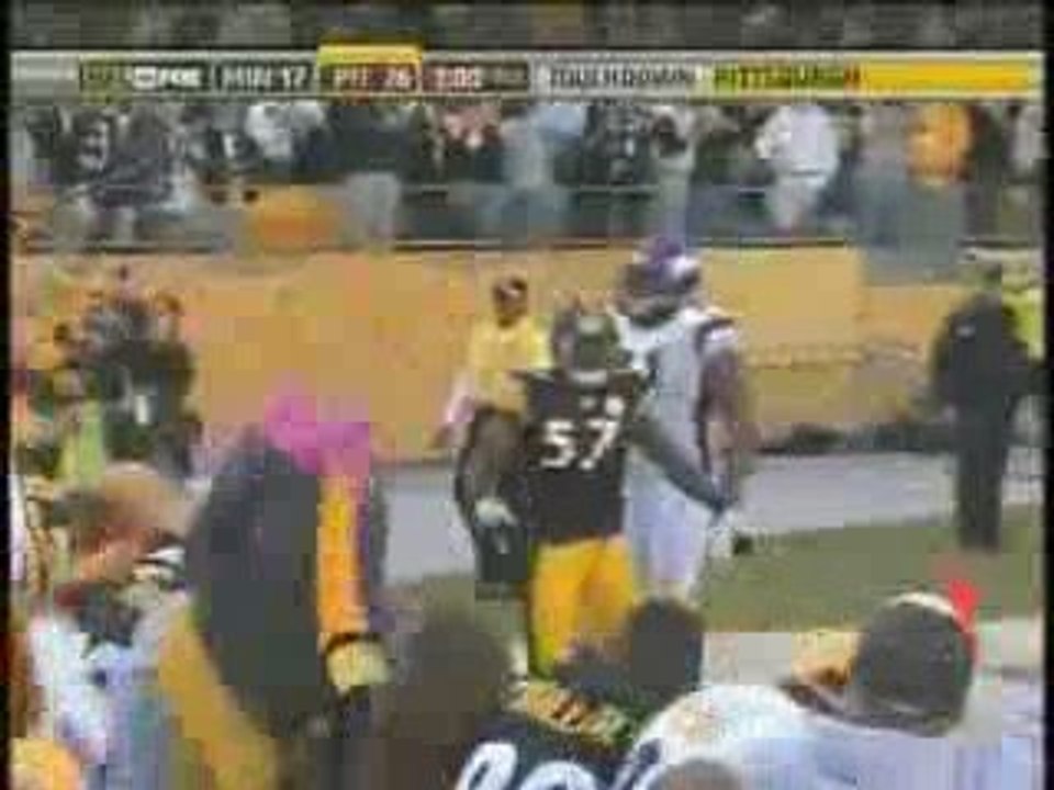 Steelers Defense vs Vikings