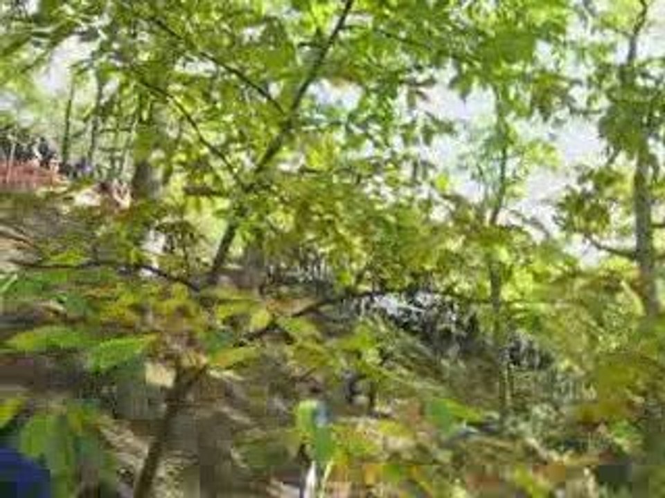 grangent 2009, lulu et adrien