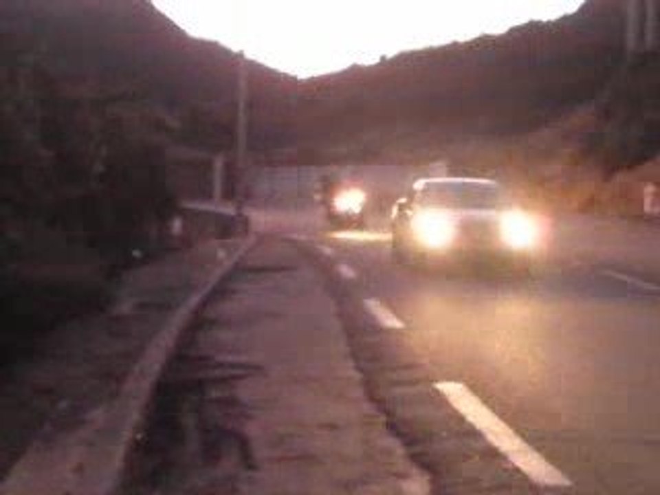 Mibs46 and Tomato#88