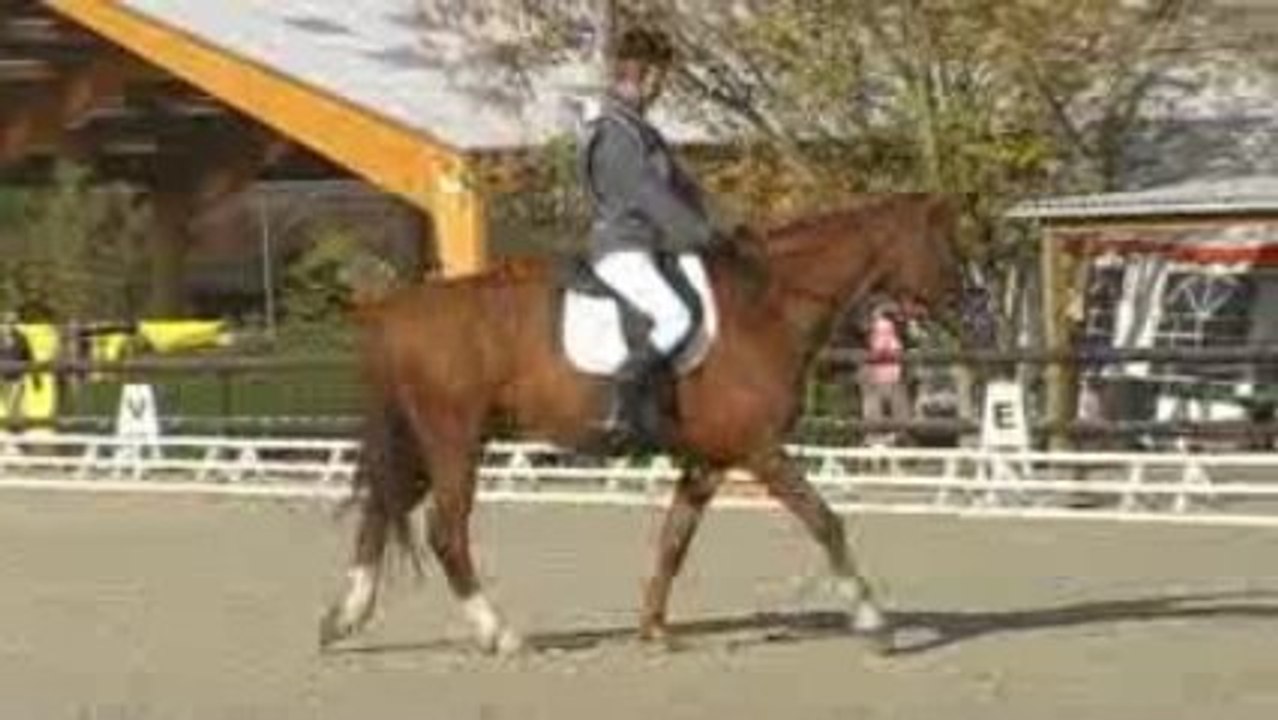 CCE Dressage / Luc - Pacha