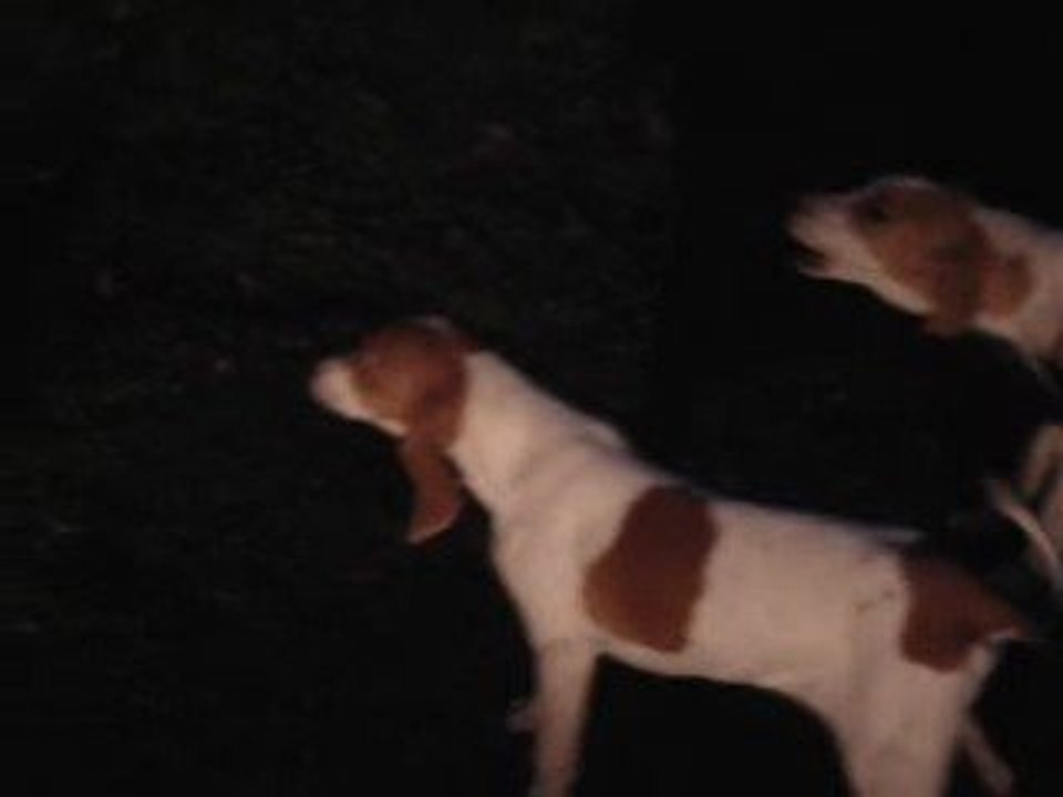 Enjy & Elvis au ferme