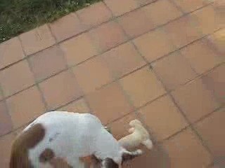 Eden joue avec son nounours