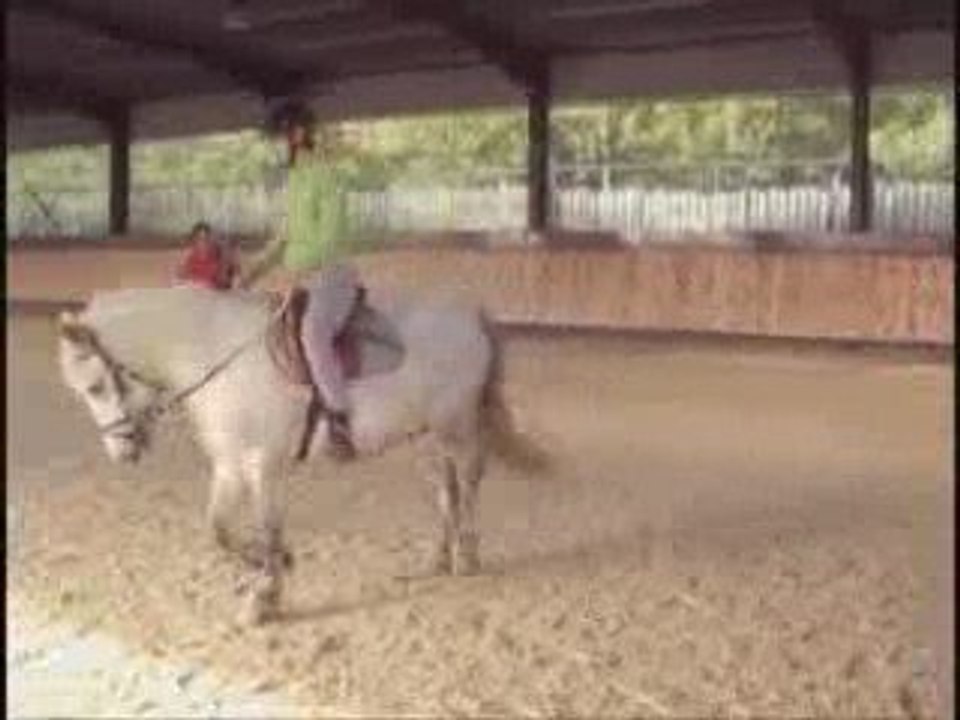 Béné et k dressage
