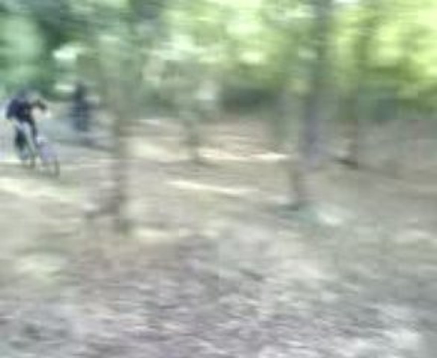 MOV01538
