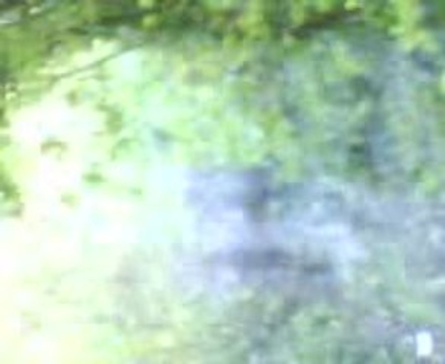 MOV01538